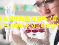 肌腱能用干细胞修复吗（肌腱干细胞在肌腱钙化 🦢 中的作用）